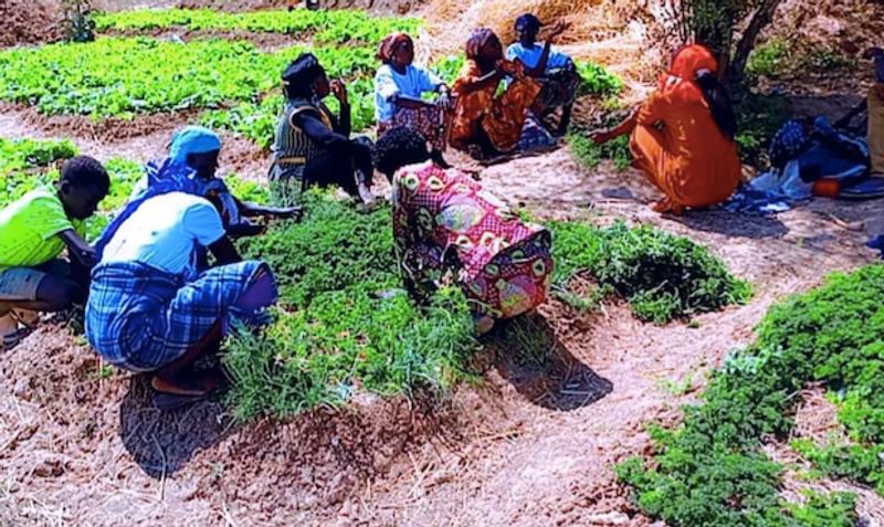 Photo 5 de ONG Migrations Climat International 